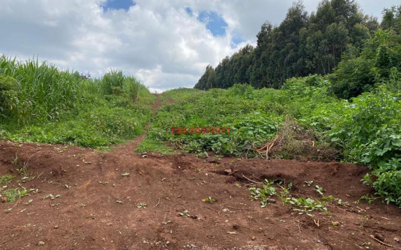 Land For Sale In Kamangu