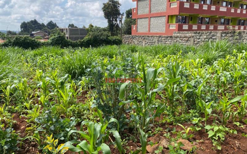 Commercial Plot For Sale In Thogoto