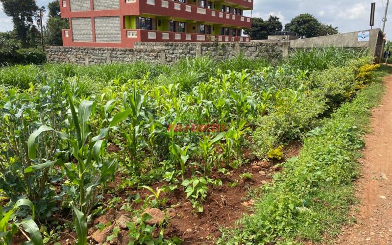 Commercial Plot For Sale In Thogoto