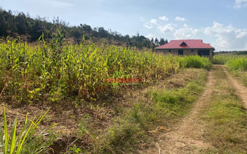 Residential  50 By 100 Fts Plots For Sale In Kikuyu, Kamangu