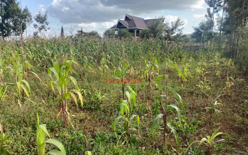 0.05 Ha Plot For Sale In Kikuyu, Lusingetti
