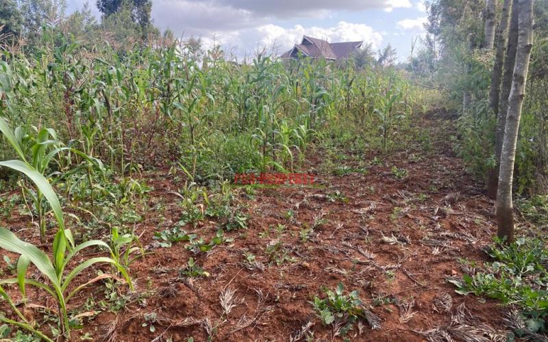 0.05 Ha Plot For Sale In Kikuyu, Lusingetti