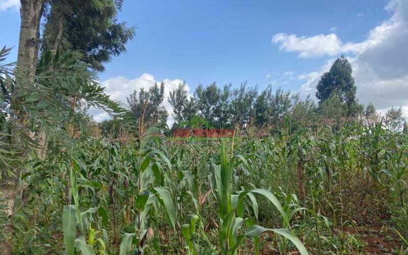 0.05 Ha Plot For Sale In Kikuyu, Lusingetti