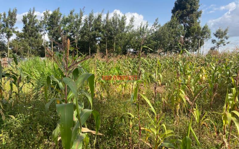 0.05 Ha Plot For Sale In Kikuyu, Lusingetti