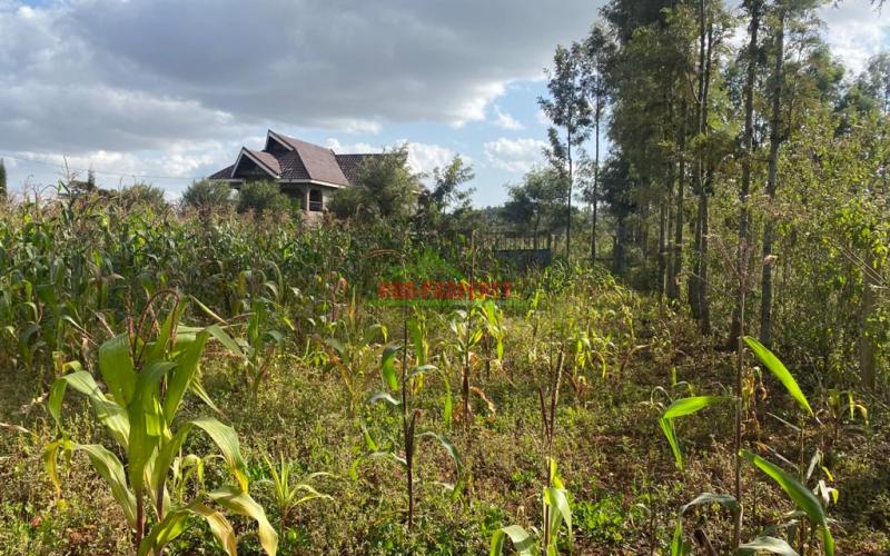 0.05 Ha Plot For Sale In Kikuyu, Lusingetti