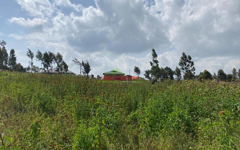 0.1 Ha Prime Residential Plot For Sale In Kikuyu, Kamangu