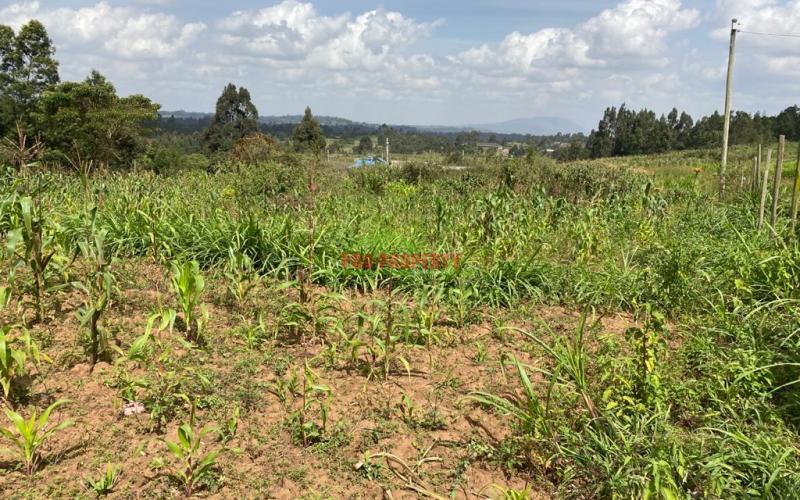 0.1 Ha Prime Residential Plot For Sale In Kikuyu, Kamangu