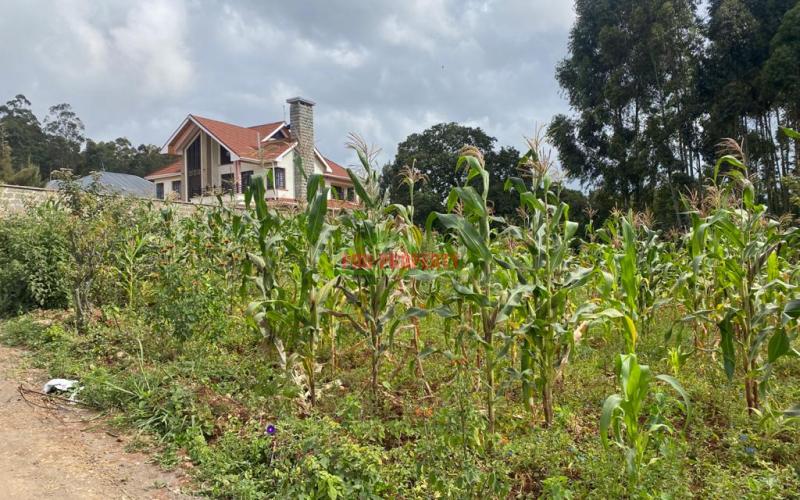 Prime Residential 1/8 Acre Plot For Sale In Kikuyu Gikambura.