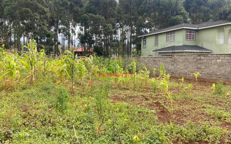 Prime Residential 1/8 Acre Plot For Sale In Kikuyu Gikambura.