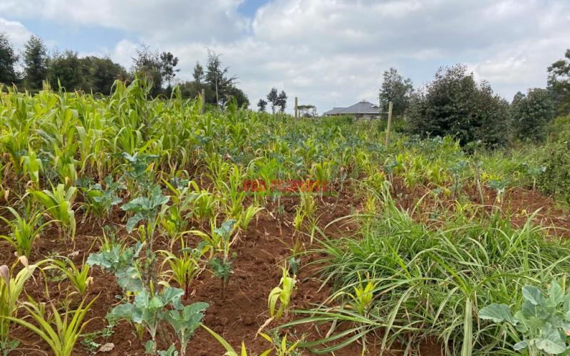 0.05 Ha Plot For Sale  In Limuru, Mutarakwa.