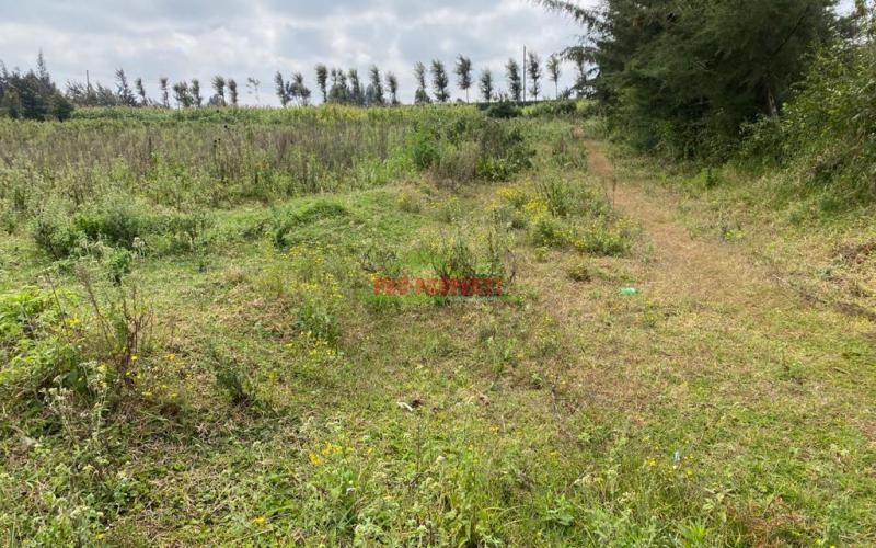 0.05 Ha Plot For Sale  In Limuru, Mutarakwa.