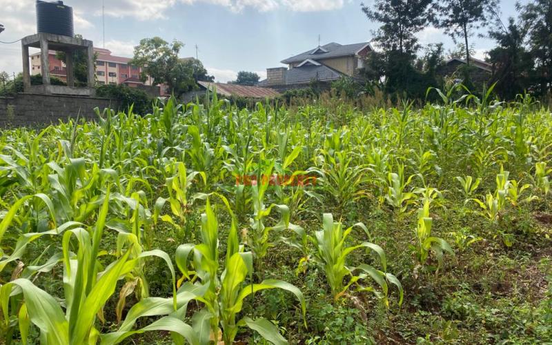 Prime Plot For Sale In Kikuyu, Thogoto Near Damacrest School.