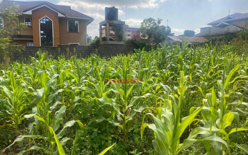 Prime Plot For Sale In Kikuyu, Thogoto Near Damacrest School.