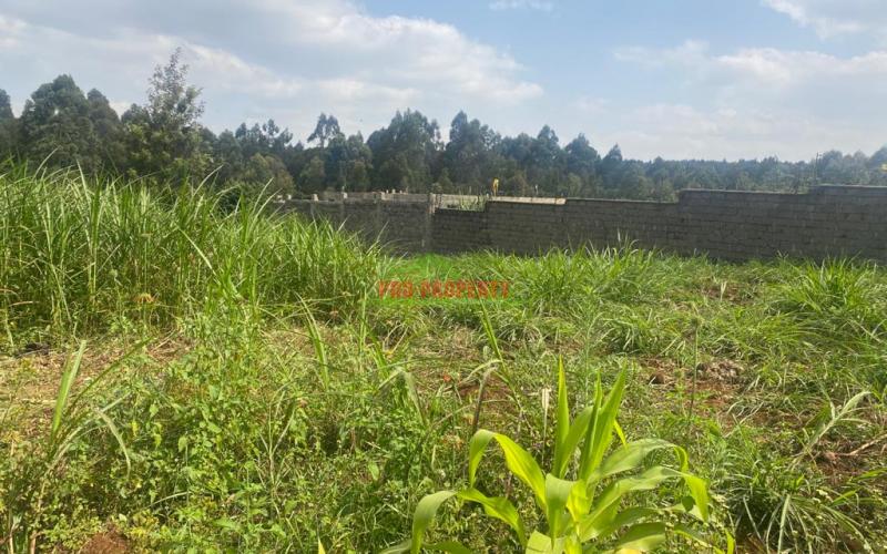 Prime Plot For Sale In Kikuyu, Thogoto Near Damacrest School.