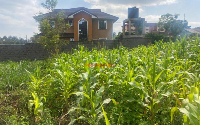 Prime Plot For Sale In Kikuyu, Thogoto Near Damacrest School.