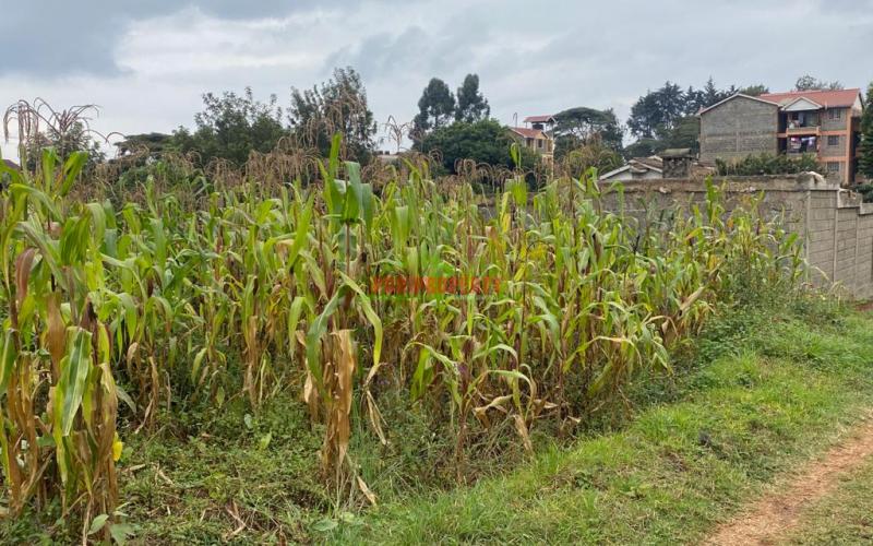 Prime Commercial Plots For Sale In  Kinoo