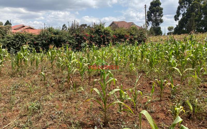 Corner Plot For Sale Touching Tarmac In Kikuyu, Gikambura.