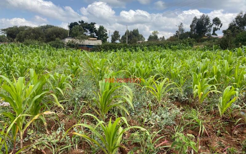 Plot For Sale On Tarmac In Kikuyu, Thigio.