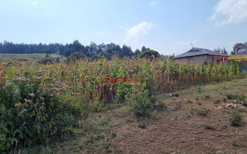 1/4 Acre Plot For Sale In Kikuyu, Kamangu.