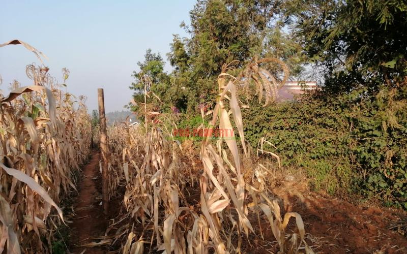 Prime 0.05 Ha Residential Plot For Sale In Kikuyu, Kamangu.
