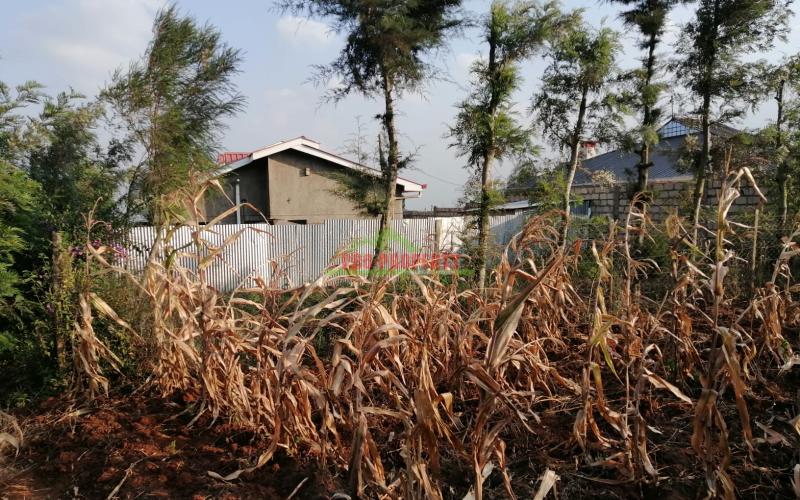 Prime 0.05 Ha Residential Plot For Sale In Kikuyu, Kamangu.