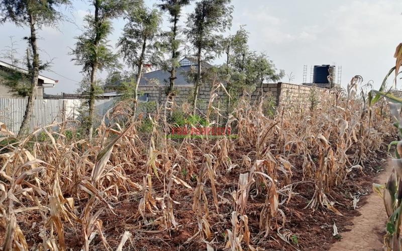 Prime 0.05 Ha Residential Plot For Sale In Kikuyu, Kamangu.
