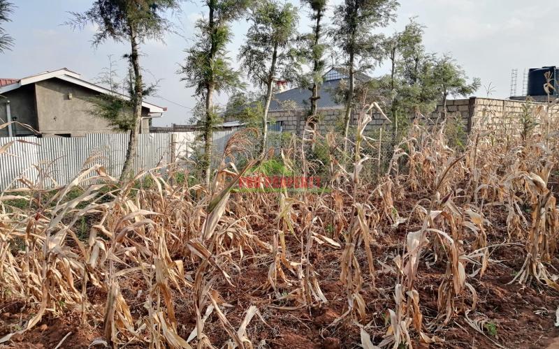 Prime 0.05 Ha Residential Plot For Sale In Kikuyu, Kamangu.