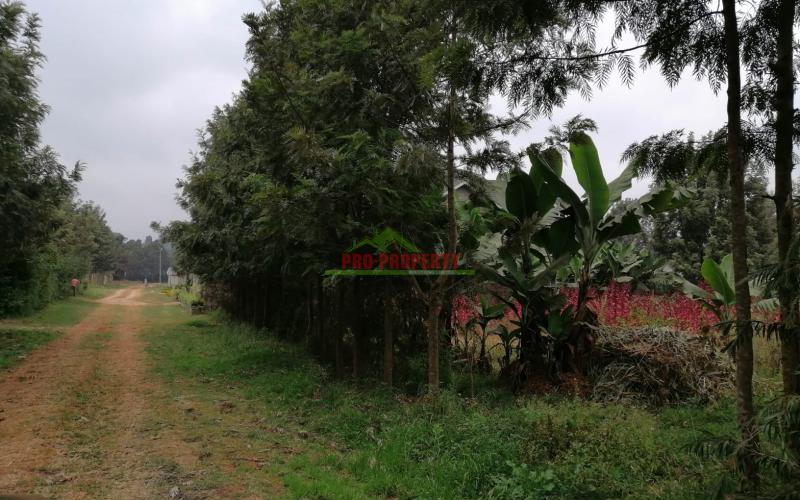 0.1 Ha Prime Plot For Sale In Kikuyu.