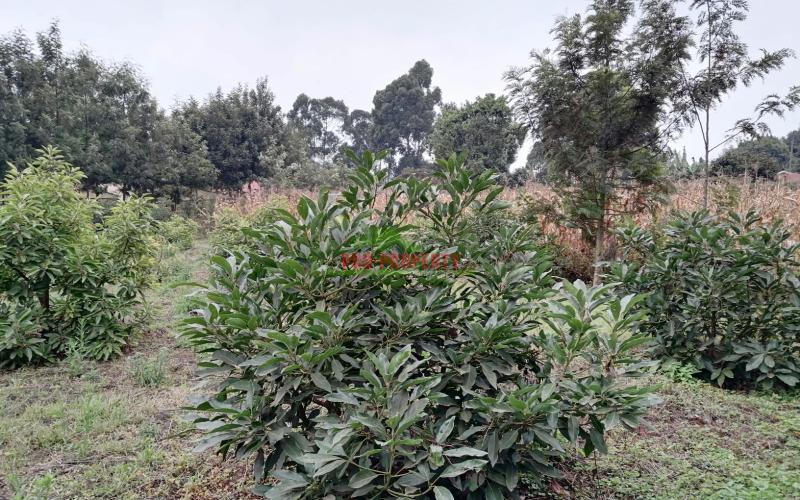 0.1 Ha Prime Plot For Sale In Kikuyu.