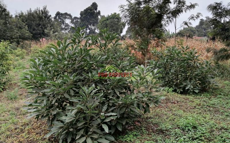 0.1 Ha Prime Plot For Sale In Kikuyu.