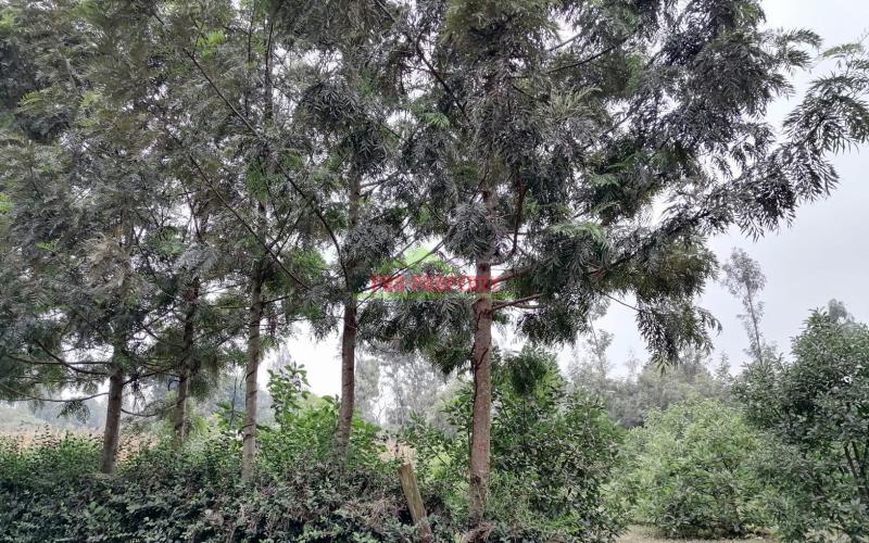 0.1 Ha Prime Plot For Sale In Kikuyu.