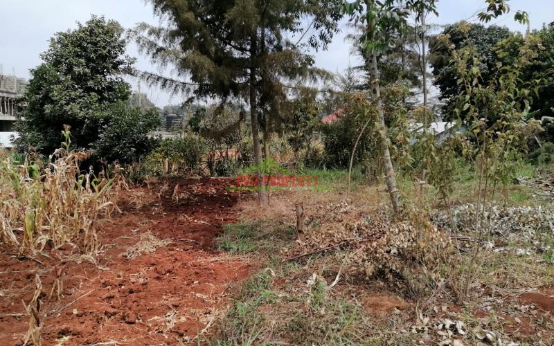 Residential/commercial Land For Sale In Kikuyu, Gikambura.