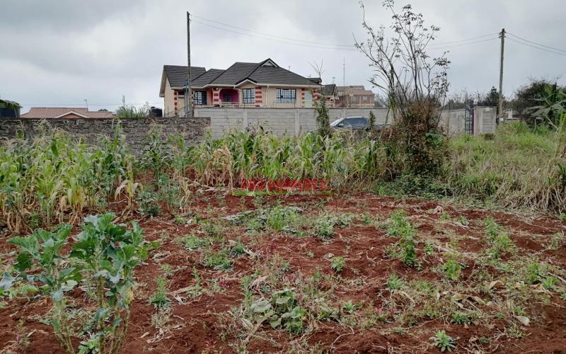 Amazing Residential Plot For Sale In Kikuyu, Thogoto.