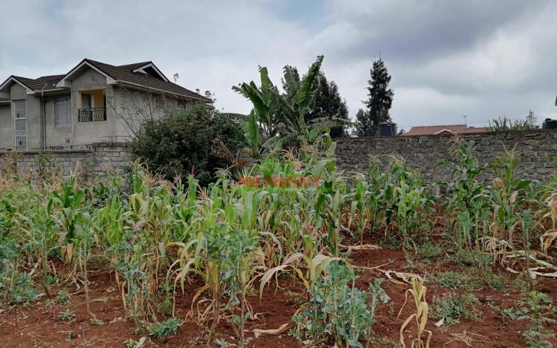 Amazing Residential Plot For Sale In Kikuyu, Thogoto.