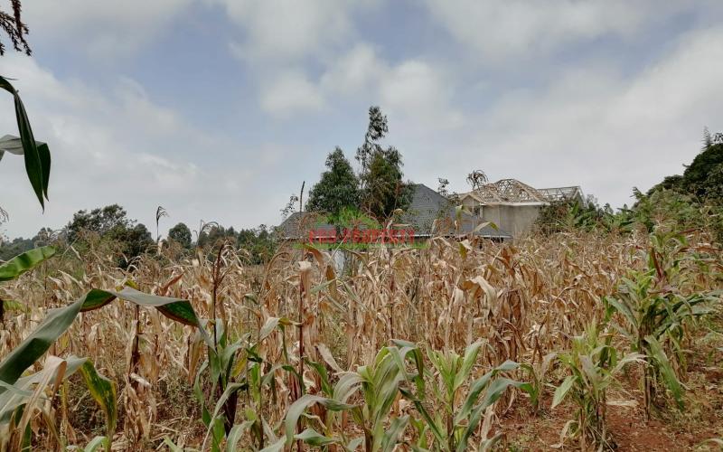 Land For Sale In Kikuyu, Gikambura.