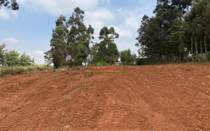 Prime Residential Plot For Sale In Kikuyu, Gikambura.