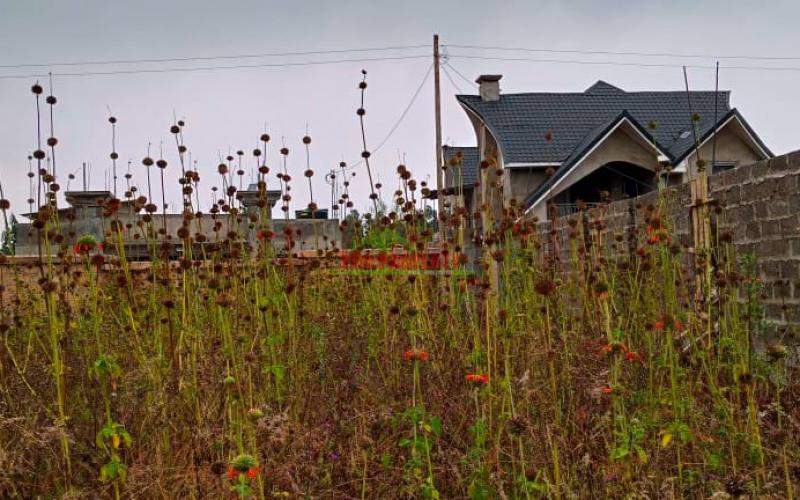 Residential Plot For Sale In  Lusingetti