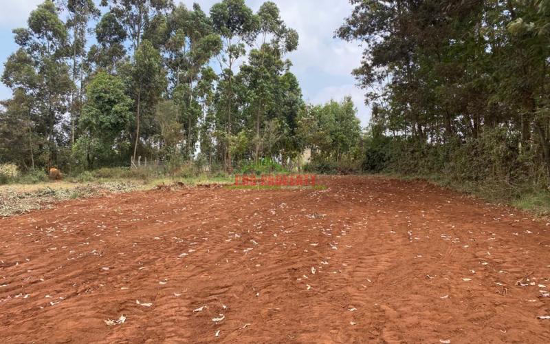 Prime Residential Plot For Sale In Kikuyu, Gikambura.