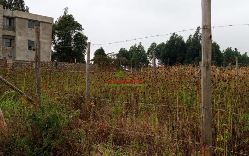 Residential Plot For Sale In  Lusingetti