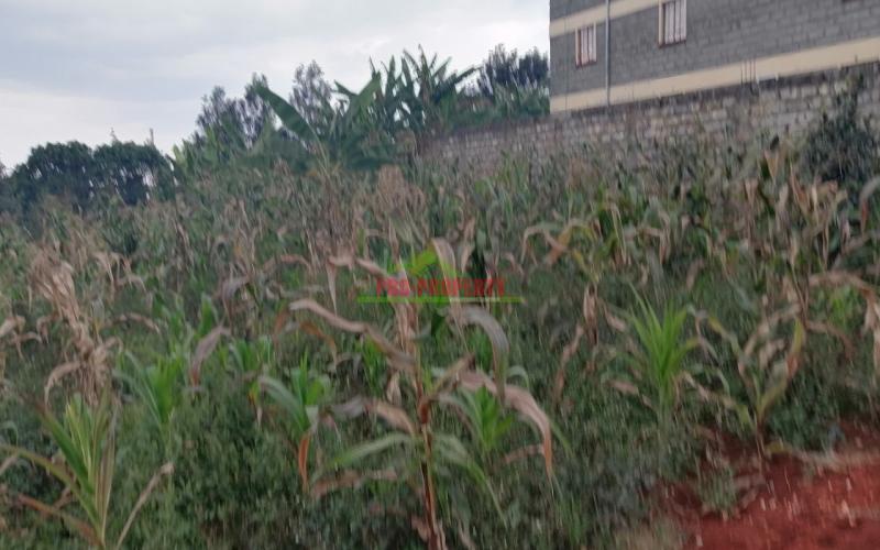 Commercial Plot For Sale In Kinoo, Kihumo.