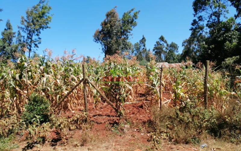 Prime Plot For Sale In Kikuyu, Gikambura.