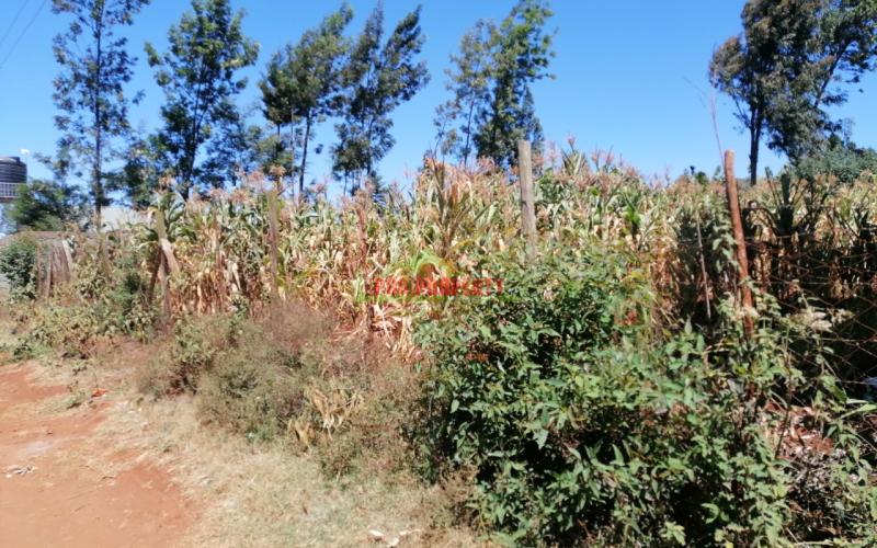 Prime Plot For Sale In Kikuyu, Gikambura.