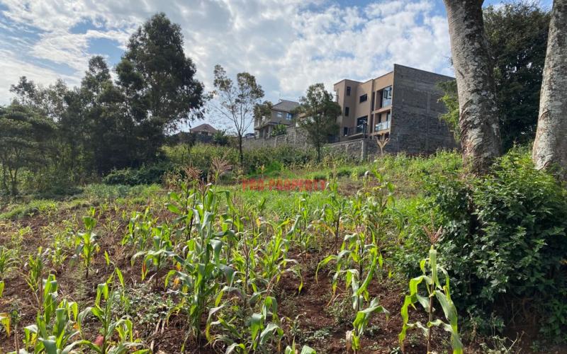 Residential Plot For Sale in Kinoo Muthiga.