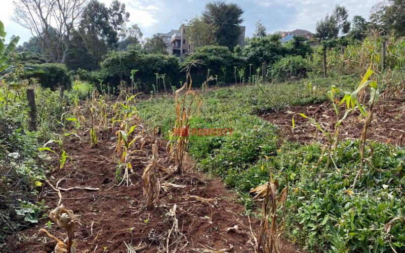 Residential Plot For Sale In Kinoo Muthiga.