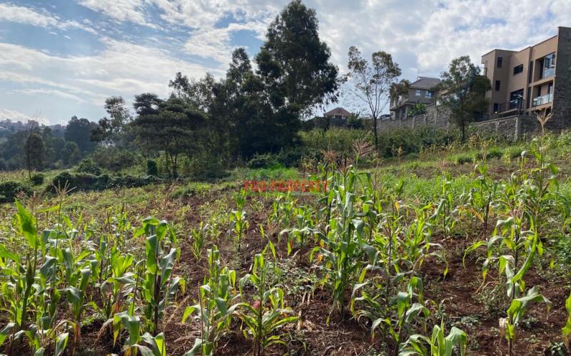 Residential Plot For Sale In Kinoo Muthiga.