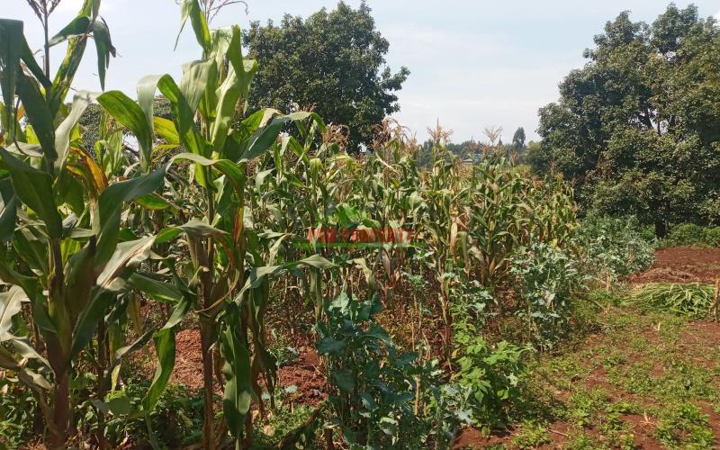 Prime Plot For Sale In Muthure