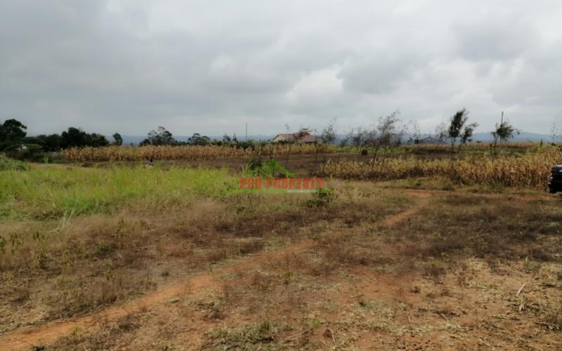 0.1 Ha Prime Plot  For Sale In Kikuyu, Kamangu.