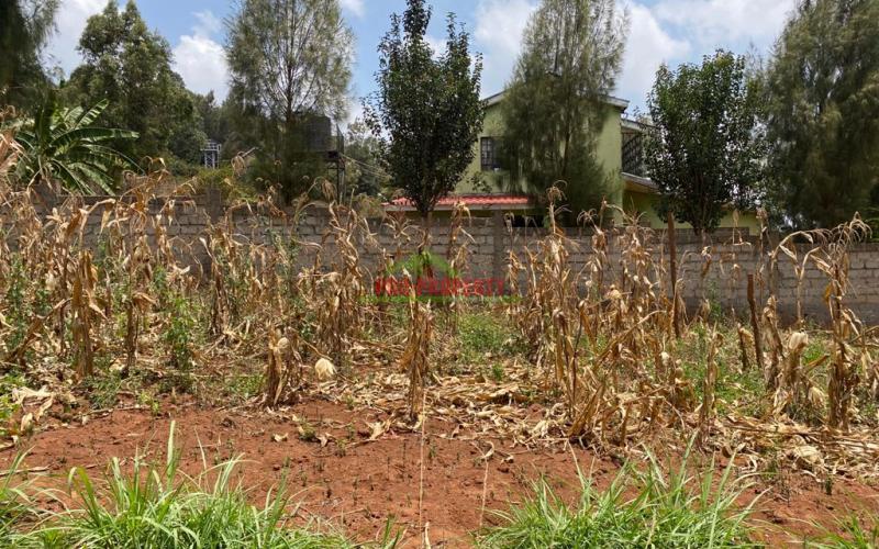 Prime Residential Plot For Sale In Kikuyu, Lusigetti.