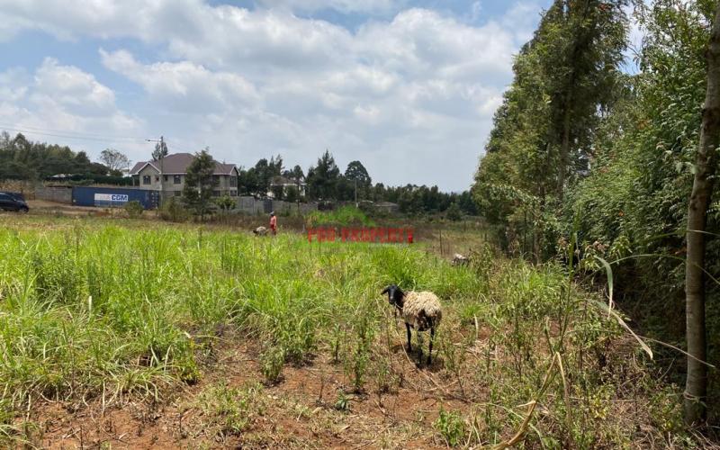 Land For Sale Touching Tarmac In Kikuyu, Kamangu.