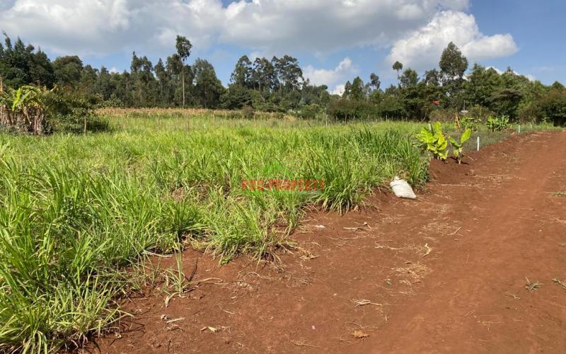 Residential Plots For Sale In Kikuyu Muguga Kerwa.
